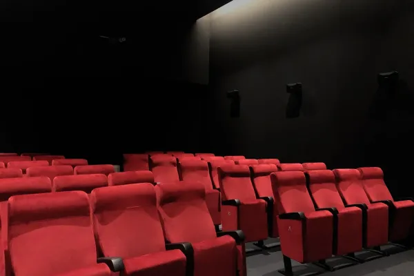 VIP Auditorium Seating: Elevate Your Venue with Euro Seating Solutions